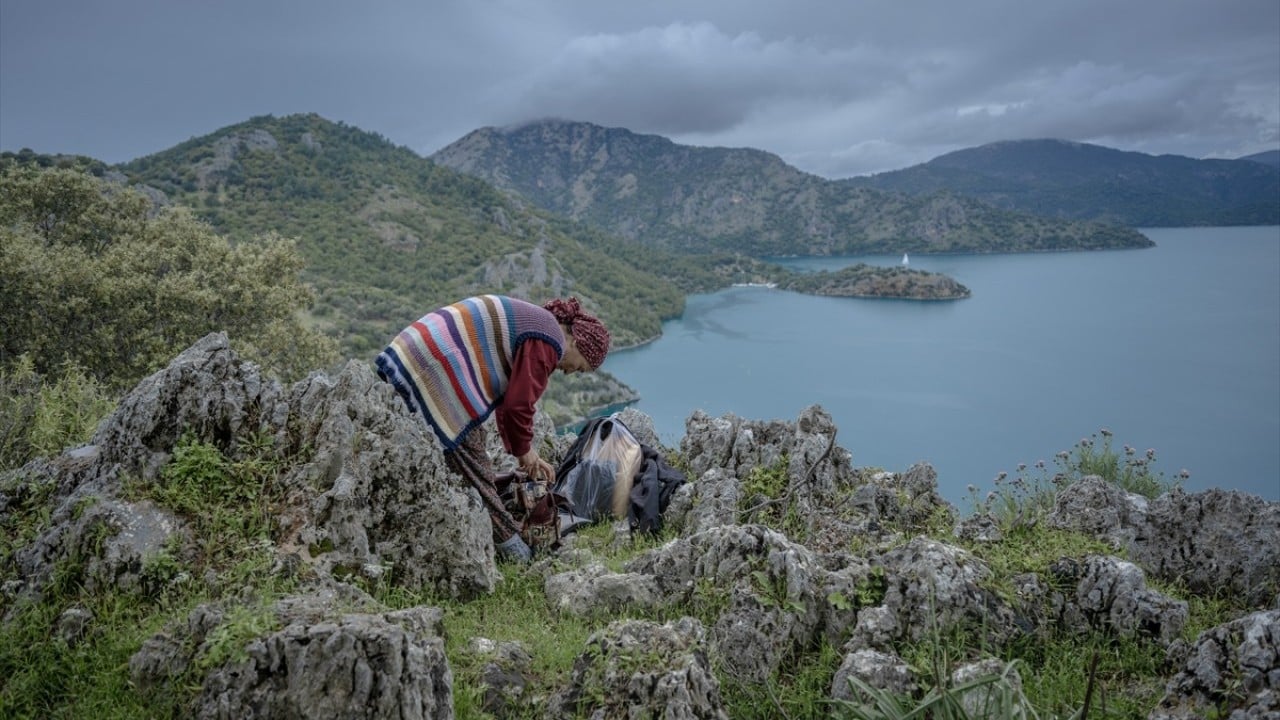 Foto - Doğayla iç içe altı ay yaşam Karada başlayıp denizde devam eden sıra dışı göç