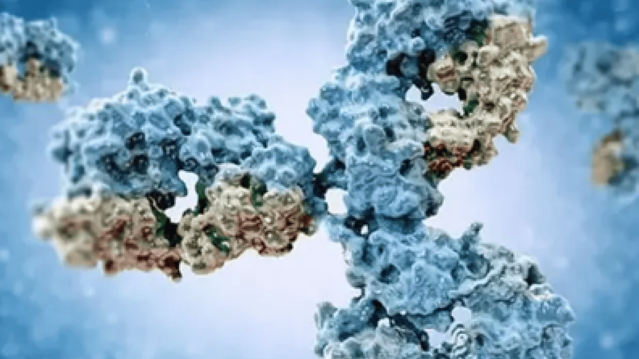 Doğru bir mikrobiyota yöntemiyle... Kışın şifresi... Tabağınızdaki gizli kalkanlar