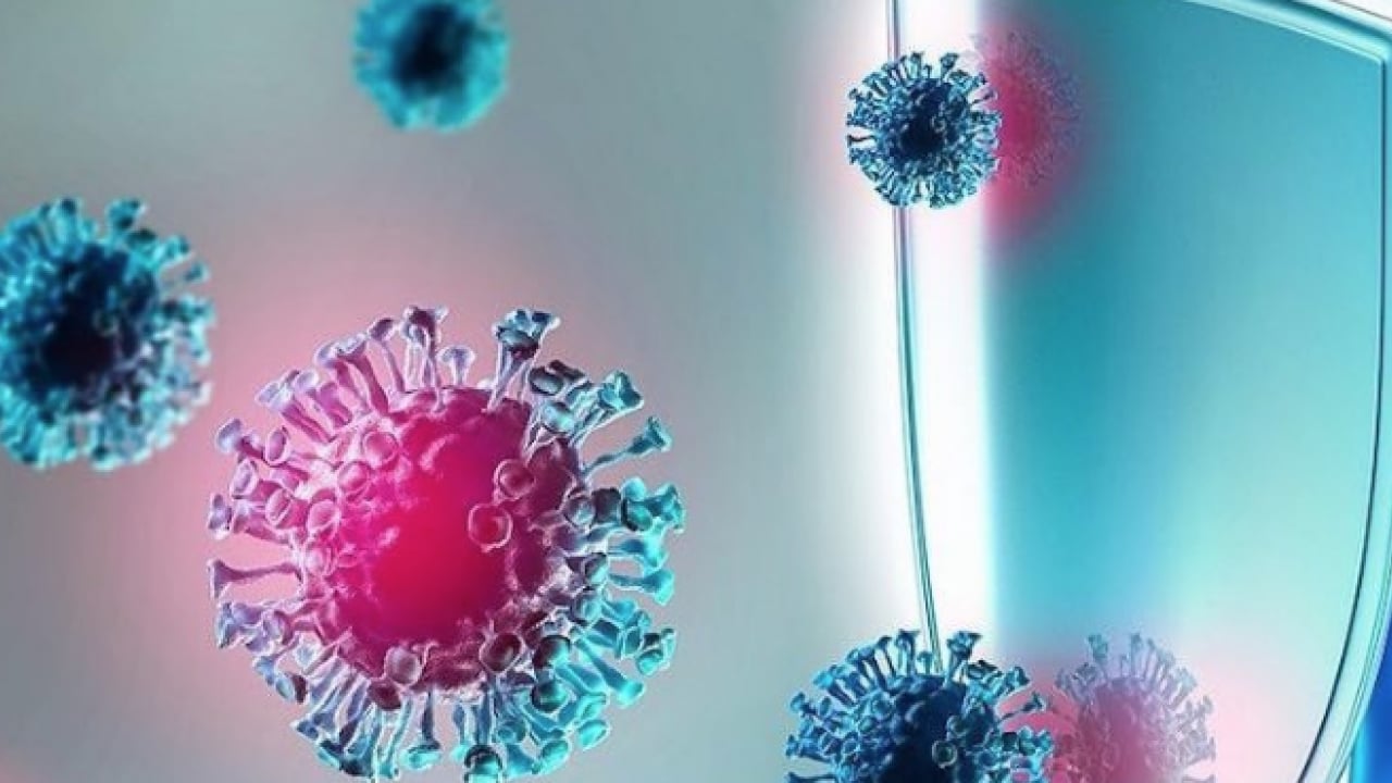 Foto - Doğru bir mikrobiyota yöntemiyle... Kışın şifresi... Tabağınızdaki gizli kalkanlar