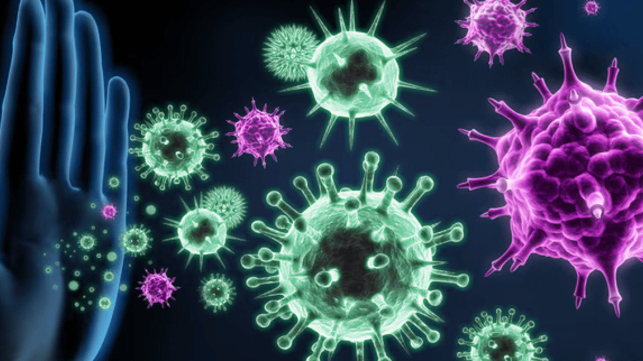 Foto - Doğru bir mikrobiyota yöntemiyle... Kışın şifresi... Tabağınızdaki gizli kalkanlar