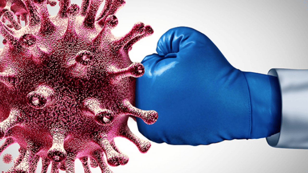 Foto - Doğru bir mikrobiyota yöntemiyle... Kışın şifresi... Tabağınızdaki gizli kalkanlar