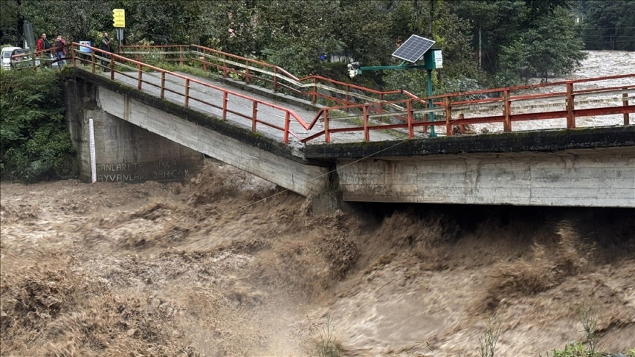 Foto - Doğu Karadeniz'de Sessiz tehlike!