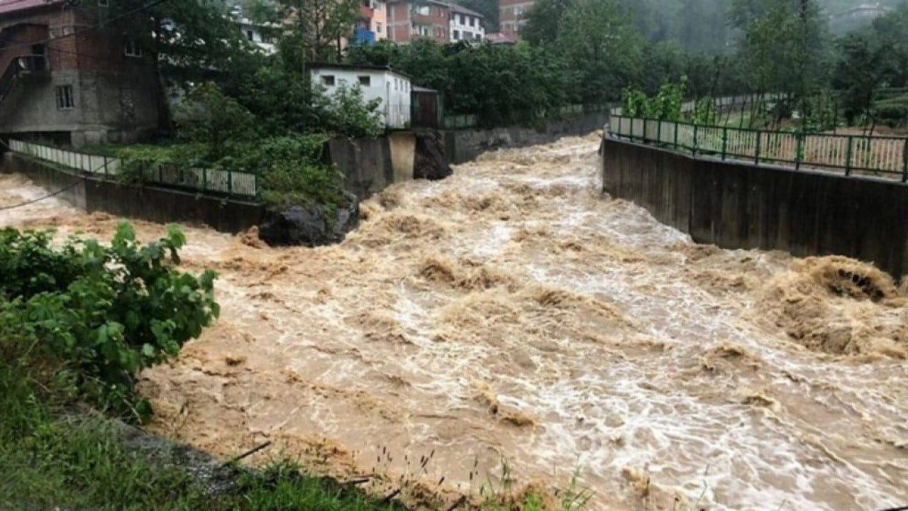 Foto - Doğu Karadeniz'de Sessiz tehlike!