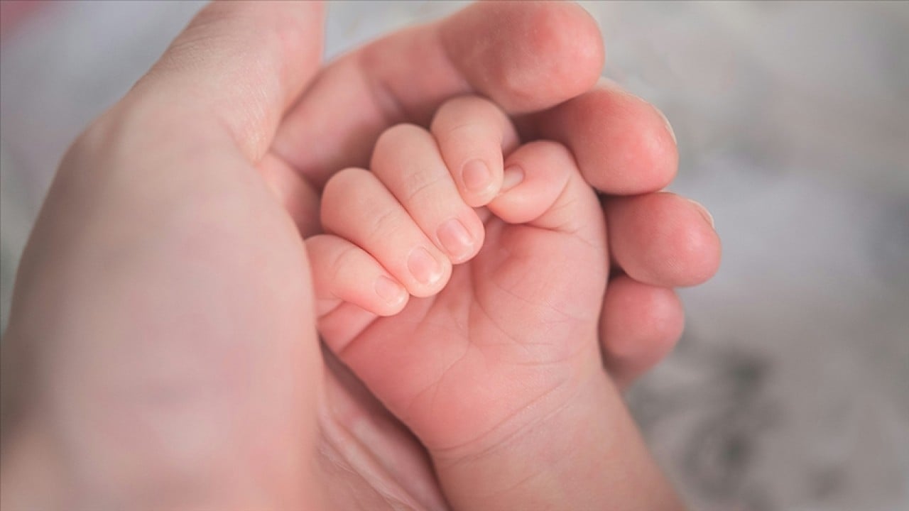 Foto - Doğurganlık oranları tepetaklak! Çocuk doğmuyor Türkiye eriyor