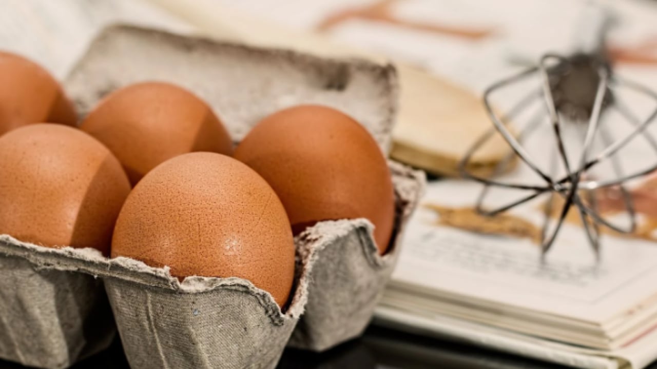 Foto - Dökülmüş saçları toplama derdine son! Kırılan saç tellerini güçlendiren doğal yöntem