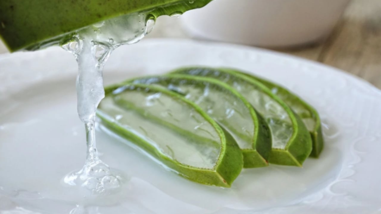 Foto - Dökülmüş saçları toplama derdine son! Kırılan saç tellerini güçlendiren doğal yöntem