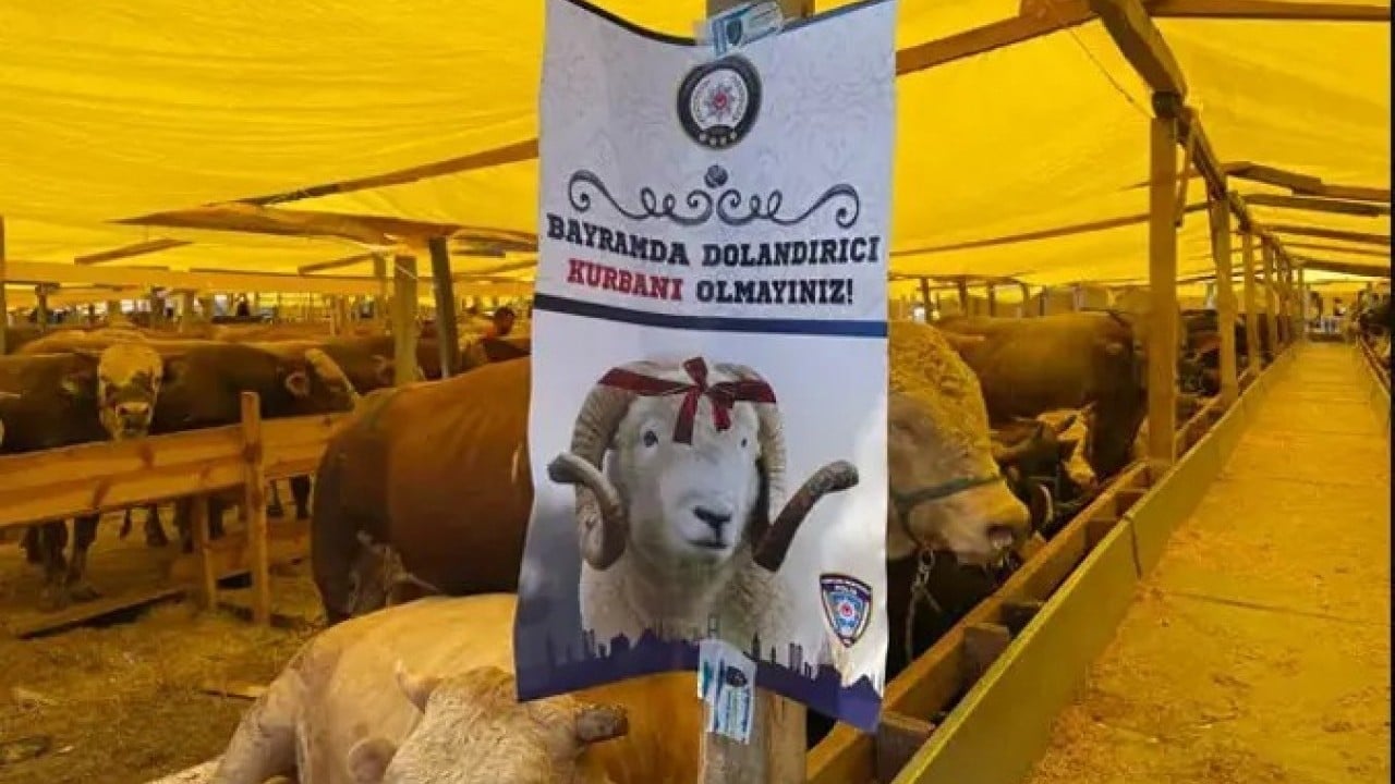 Dolandırıcılar durmak bilmiyor Ucuz kurbanlık sahte dekont ve İban’a kapora