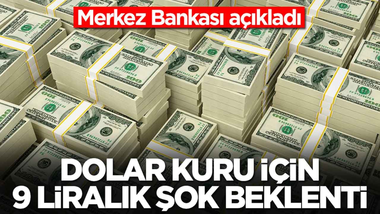 Dolar kuru için 9 liralık şok beklenti: Merkez Bankası açıkladı