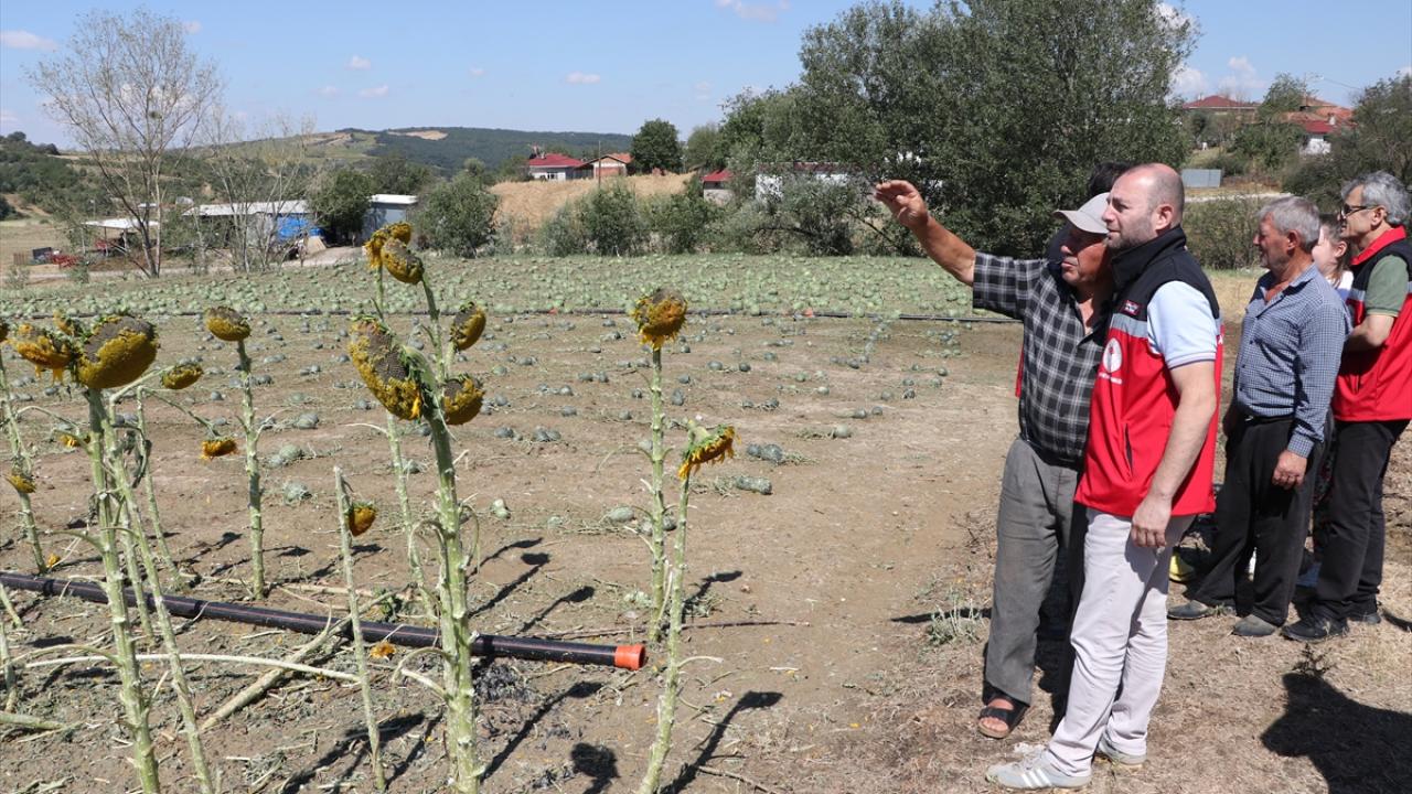 Foto - Dolu etkili oldu! 35 bin dekar tarım alanı zarar gördü