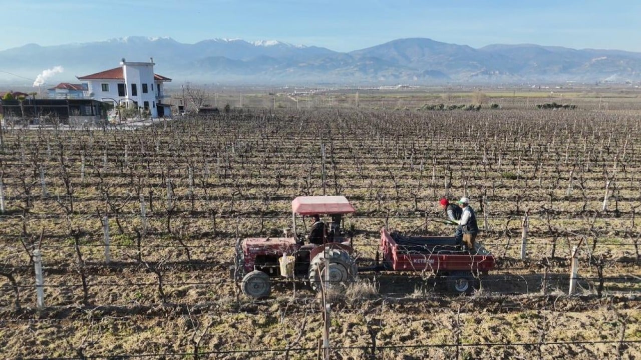 Foto - Dolu ve güneşe karşı tülden kalkan koruması