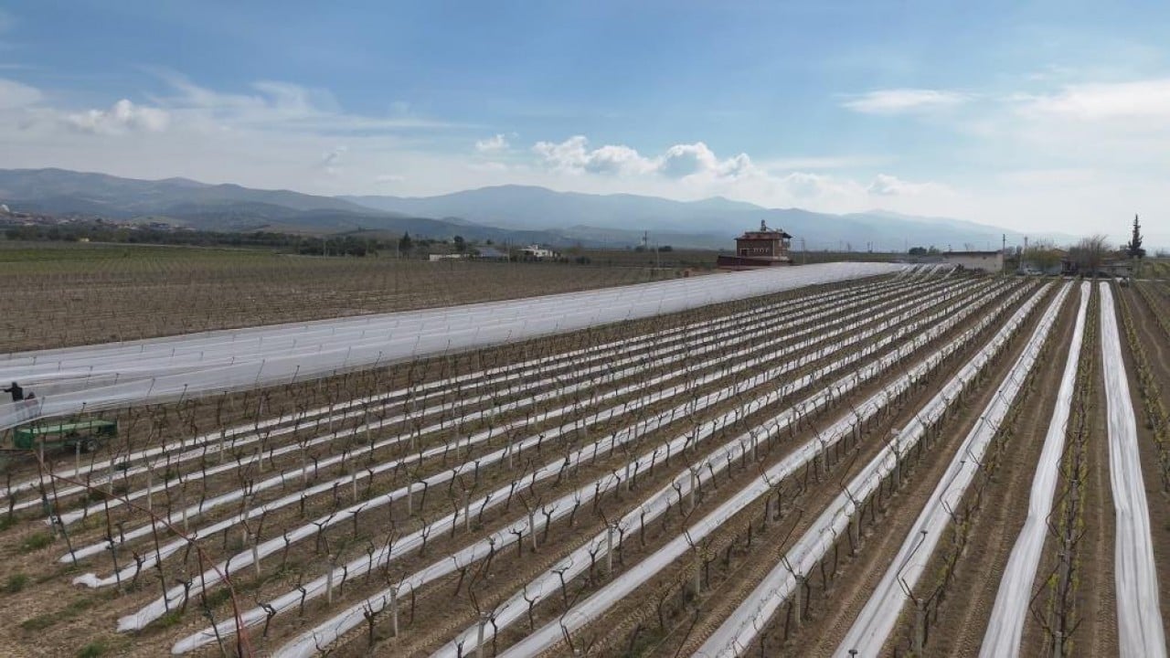 Foto - Dolu ve güneşe karşı tülden kalkan koruması