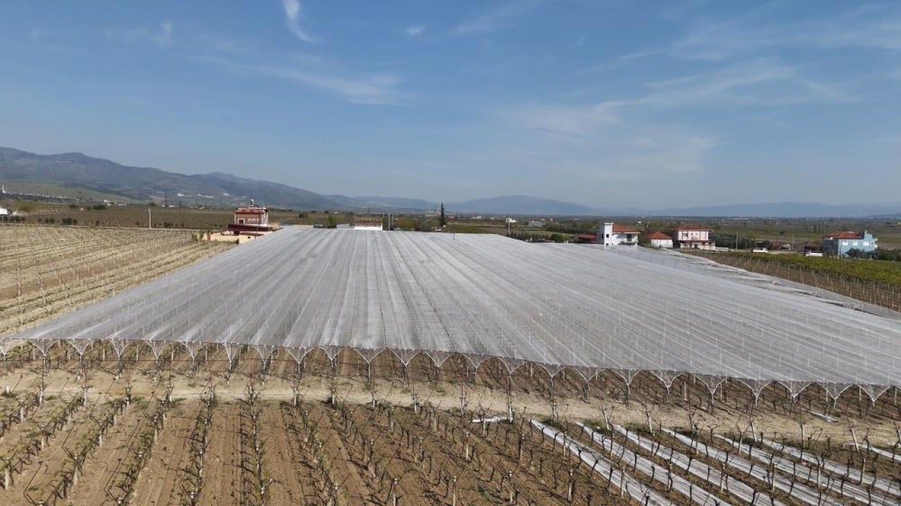 Foto - Dolu ve güneşe karşı tülden kalkan koruması