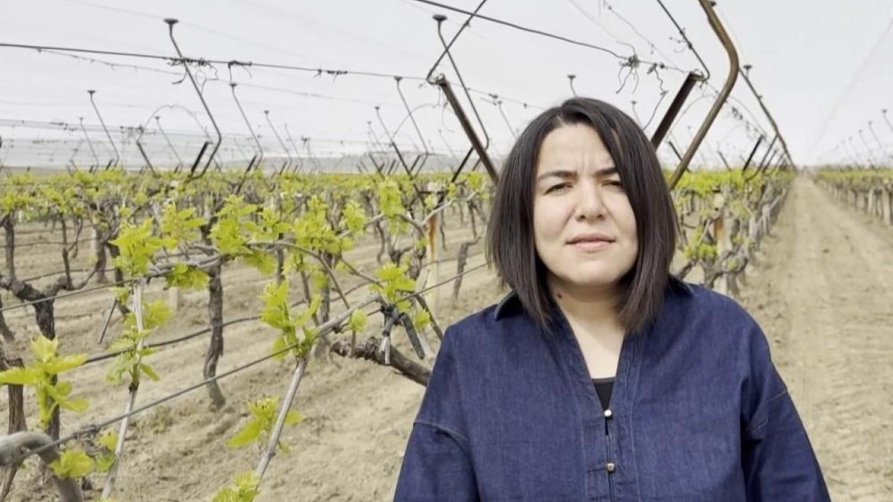 Foto - Dolu ve güneşe karşı tülden kalkan koruması