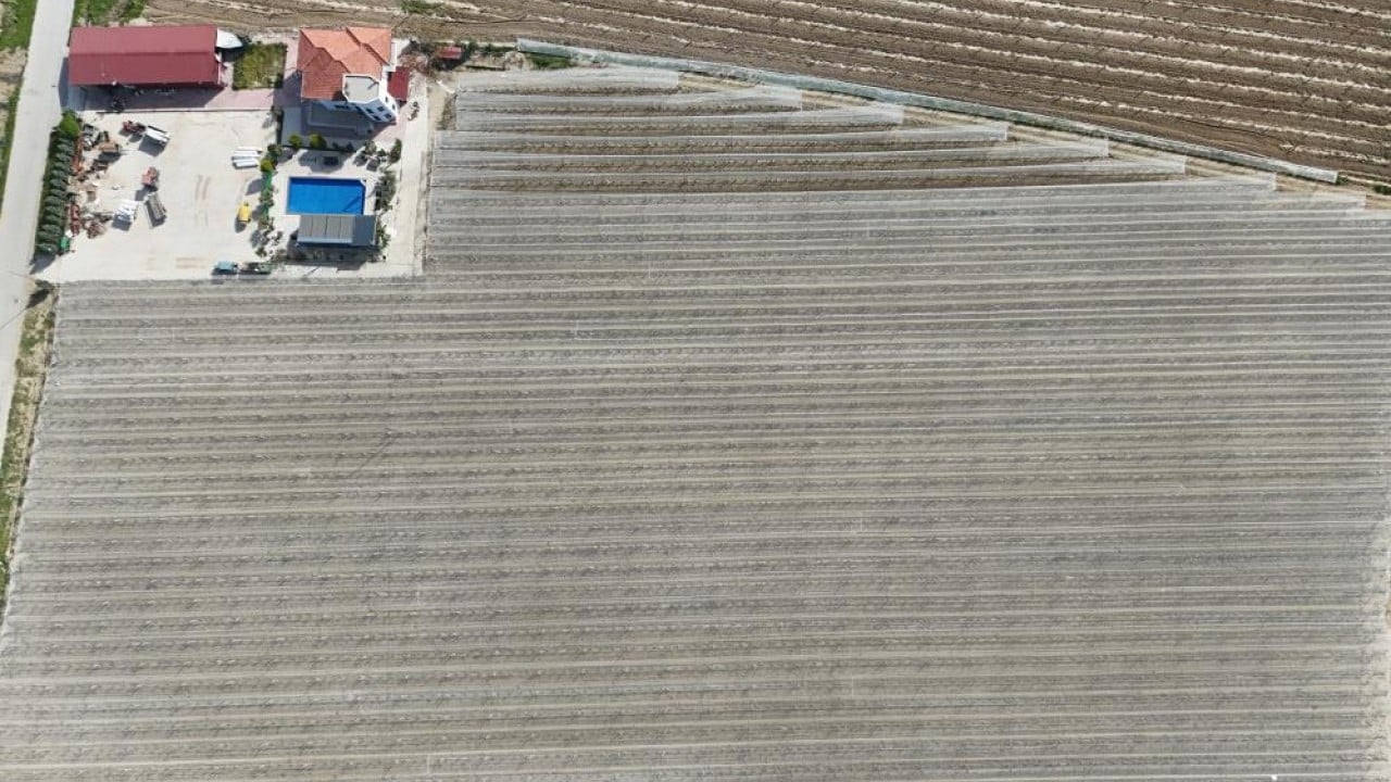 Dolu ve güneşe karşı tülden kalkan koruması