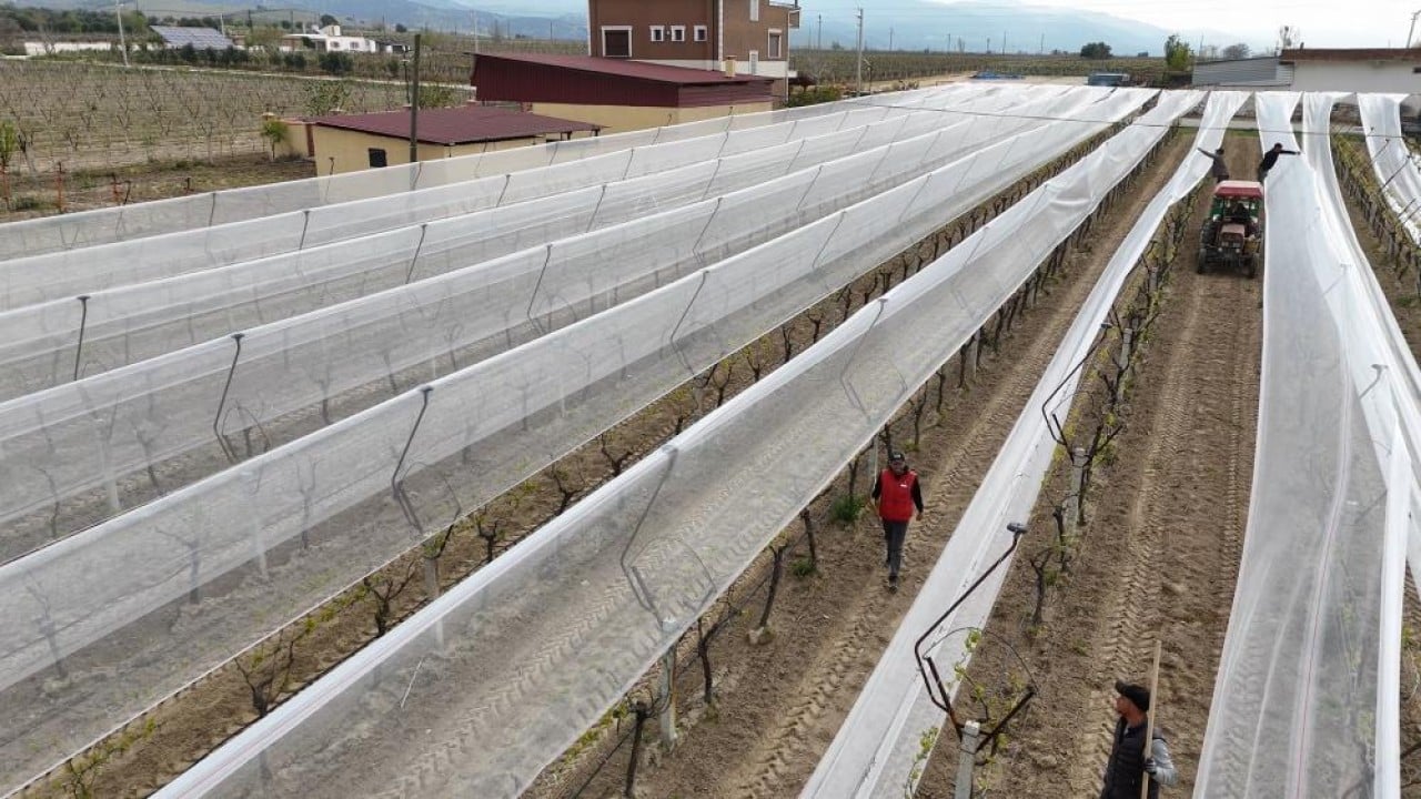Foto - Dolu ve güneşe karşı tülden kalkan koruması