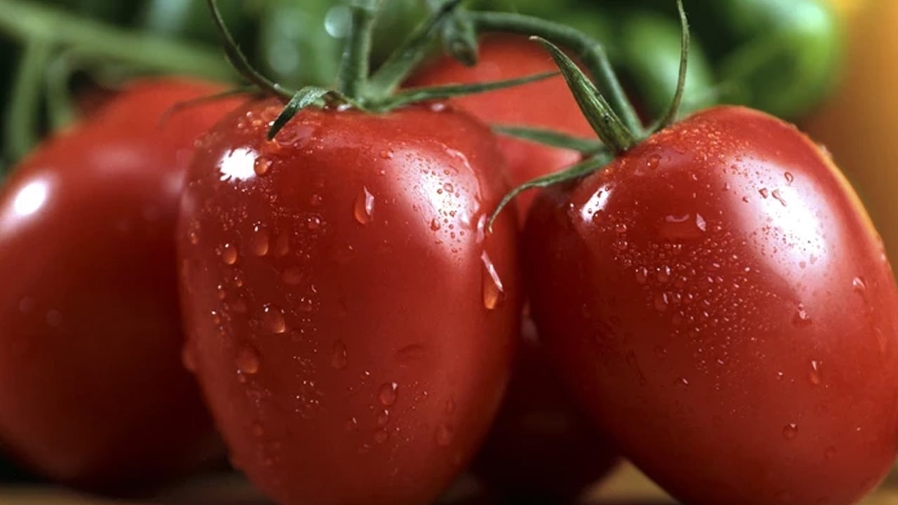 Foto - Domates, meyve ve sebze fiyatlarında şaşırtan uyarı! Uzmanlardan yaz sezonu için kötü haber 