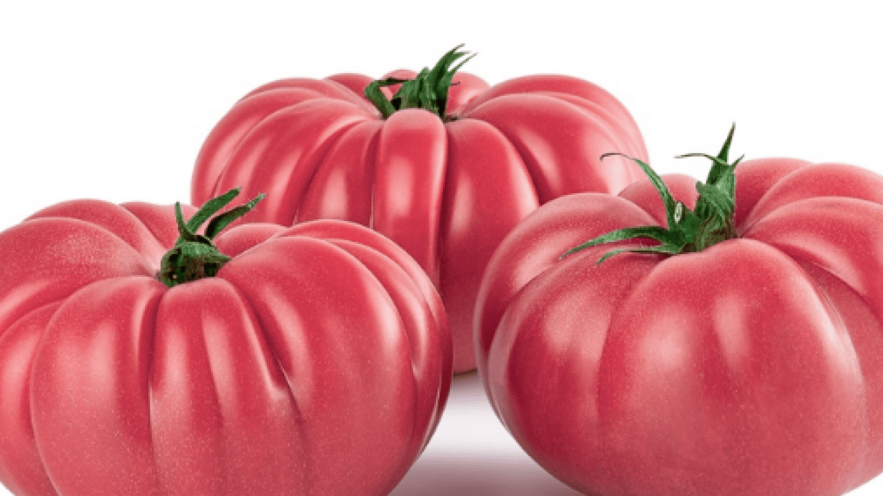 Foto - Domatesi sakın böyle tüketmeyin! Şifa sanıyorduk meğerse bu oluyormuş...