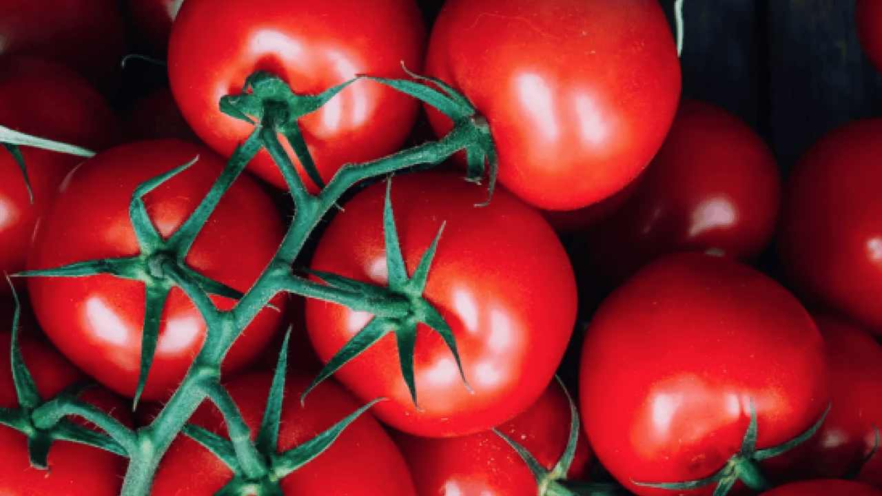 Foto - Domatesi sakın böyle tüketmeyin! Şifa sanıyorduk meğerse bu oluyormuş...