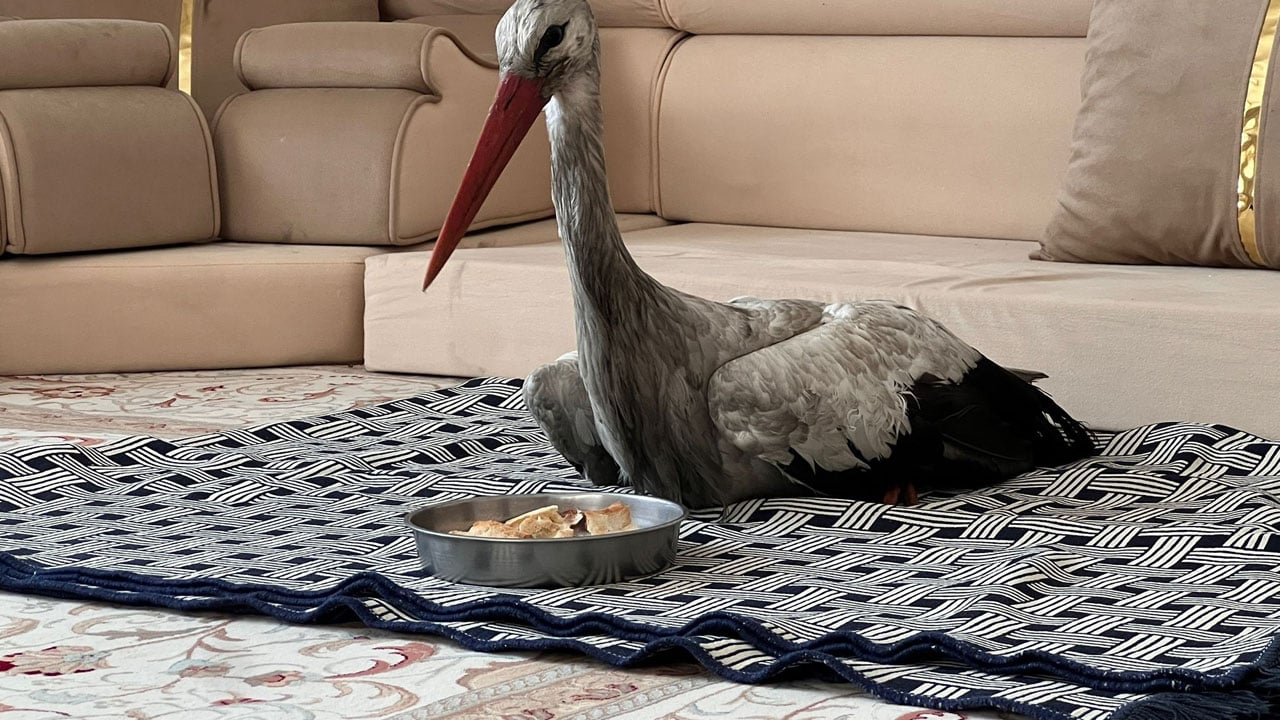 Donarak ölmek üzereydi! Yüksekova’dan yürek ısıtan görüntü