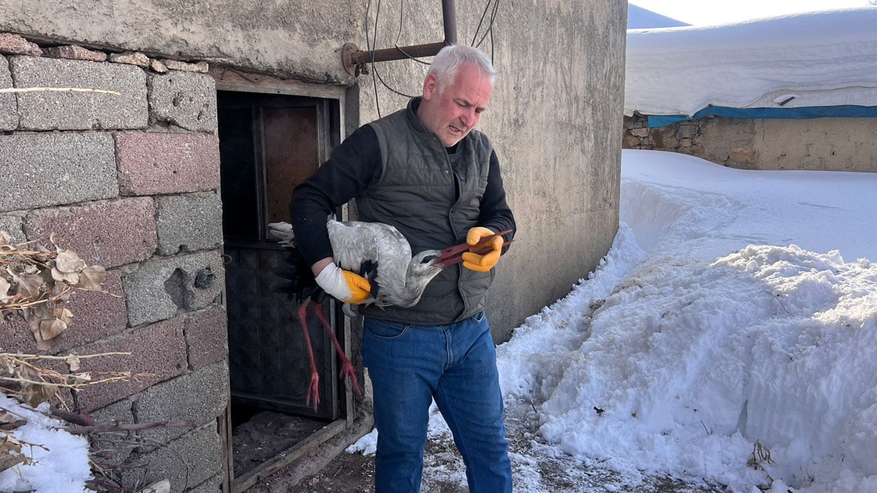 Foto - Donarak ölmek üzereydi! Yüksekova’dan yürek ısıtan görüntü