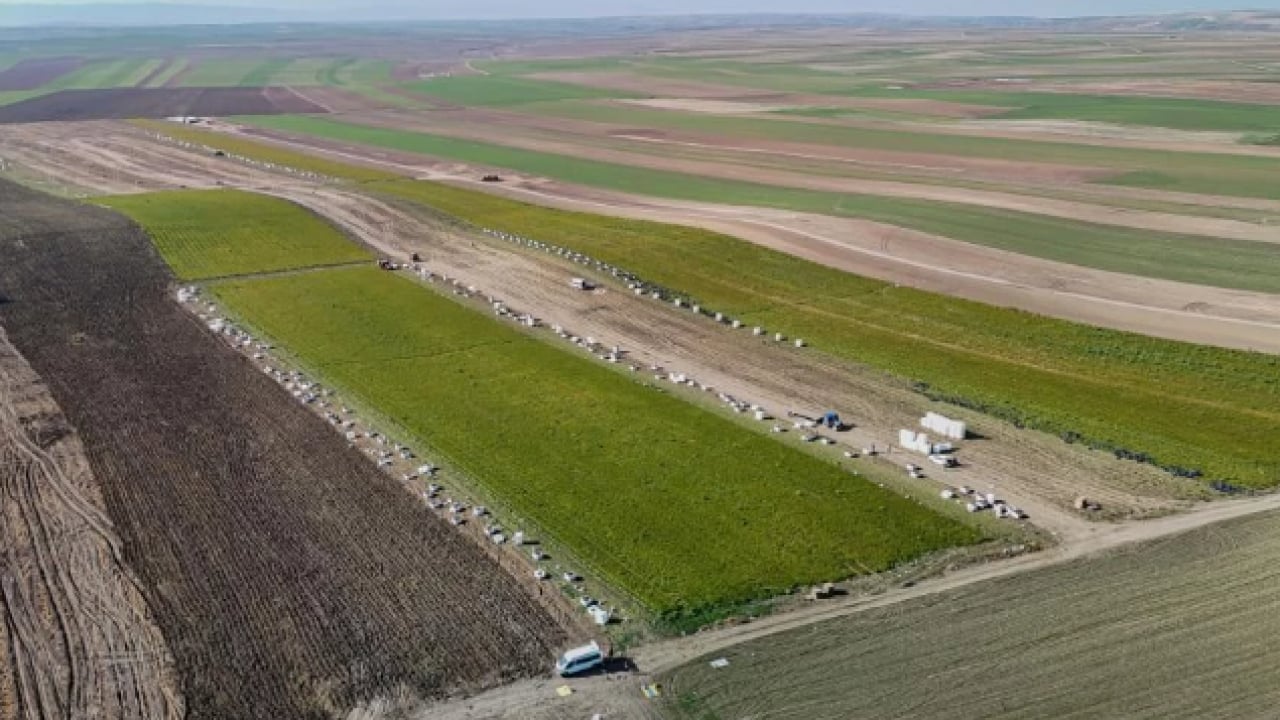 Foto - Dönüm başı 10 ton ürün çıkıyor! 12 ay boyunca üretim yapılıyor