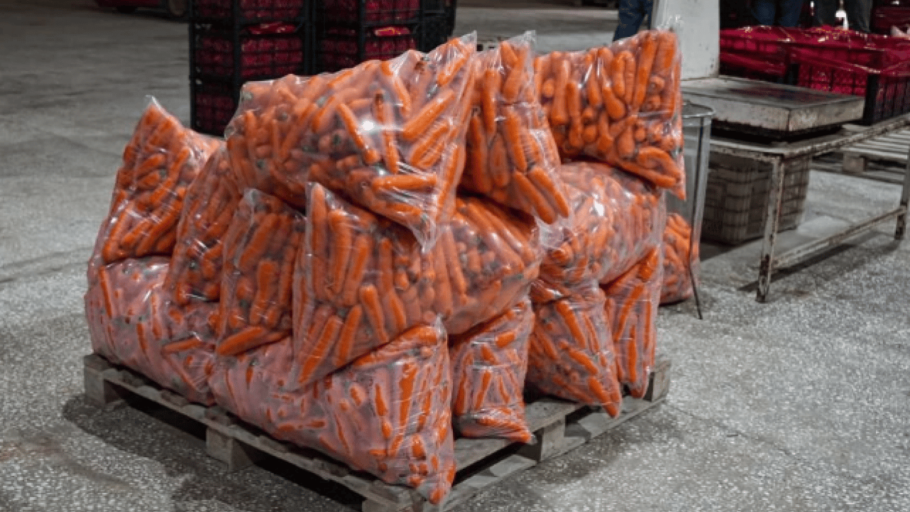 Foto - Dönüm başı 10 ton ürün çıkıyor! 12 ay boyunca üretim yapılıyor