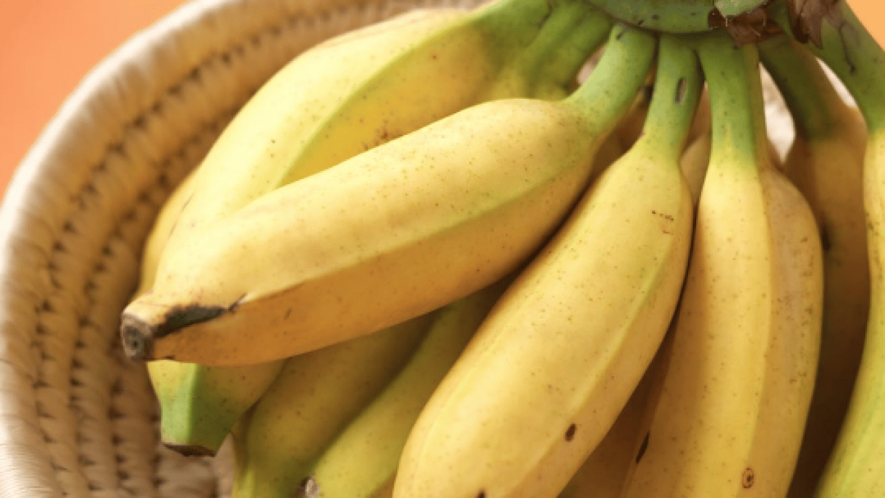 Foto - Dopamin, serotonin ve GABA... Ruh halinizi iyileştiren 5 besin