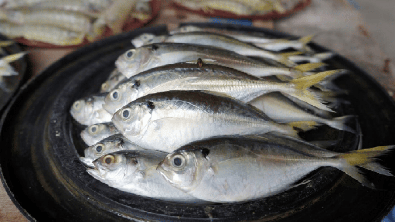 Foto - Dopamin, serotonin ve GABA... Ruh halinizi iyileştiren 5 besin