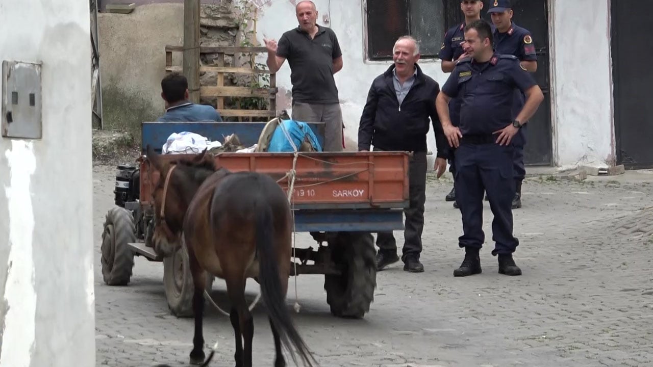 Dostlukları kalpleri yumuşatıyor! Yaylada katır Dost, yolda patpat!