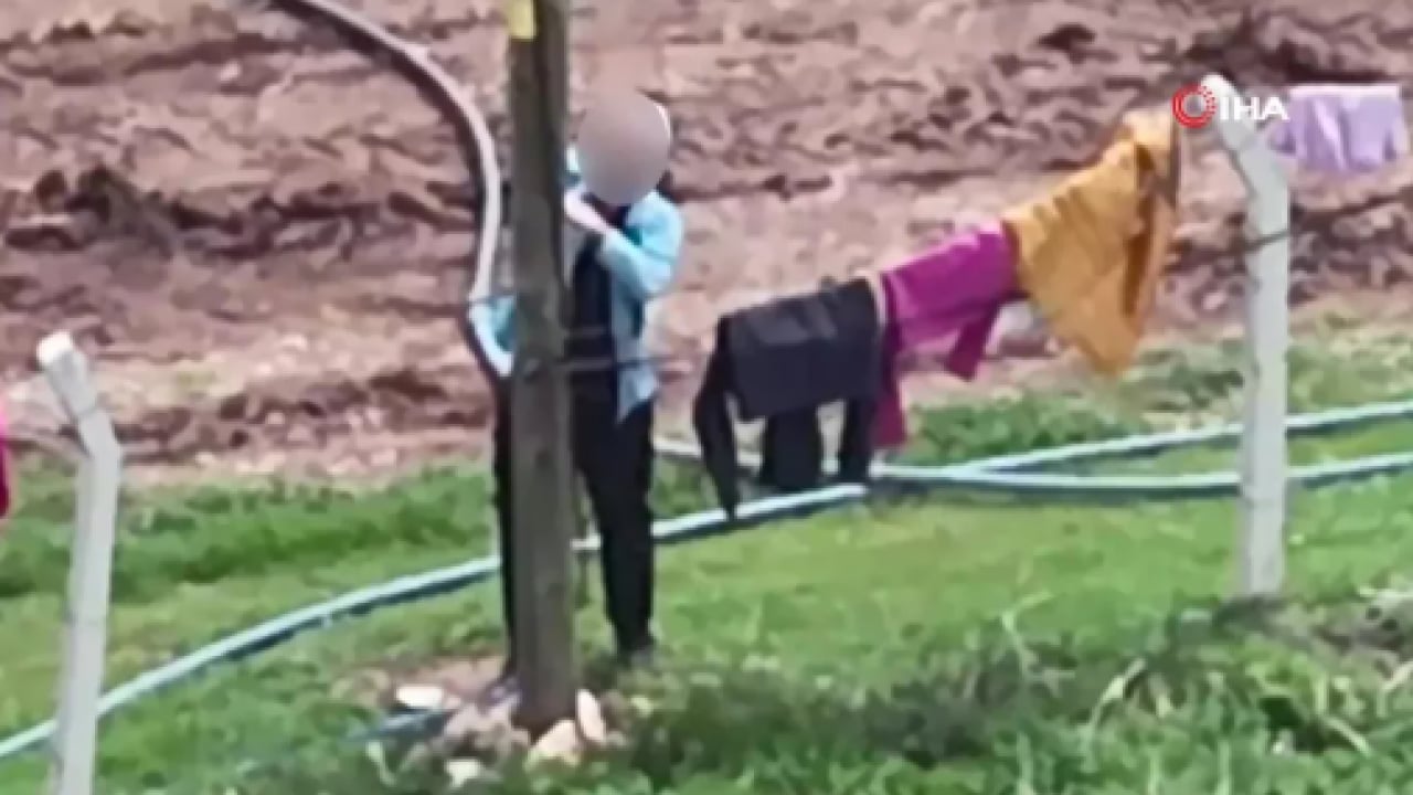 Foto - Dronu görünce ne yapacağını şaşırdı: Direğe çıkıp kaçak hattı iptal etti