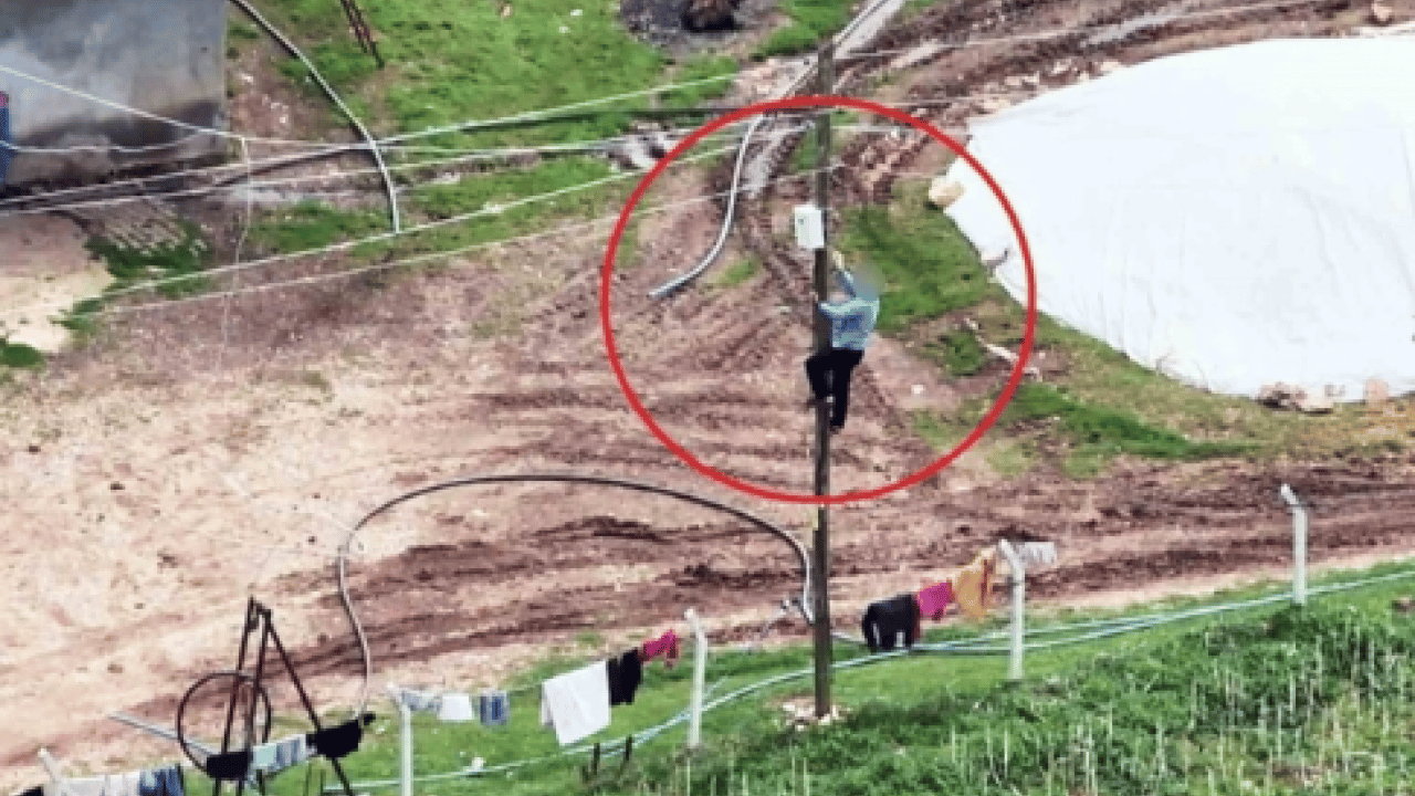 Foto - Dronu görünce ne yapacağını şaşırdı: Direğe çıkıp kaçak hattı iptal etti