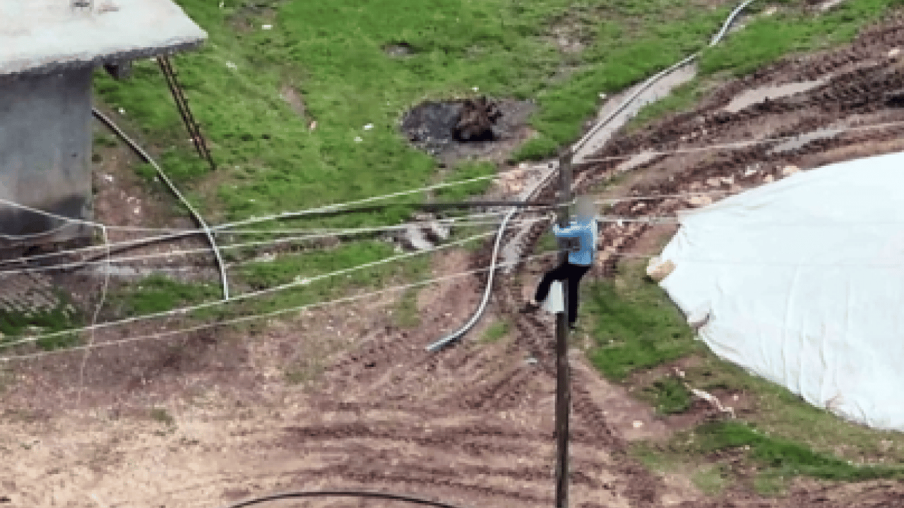 Foto - Dronu görünce ne yapacağını şaşırdı: Direğe çıkıp kaçak hattı iptal etti