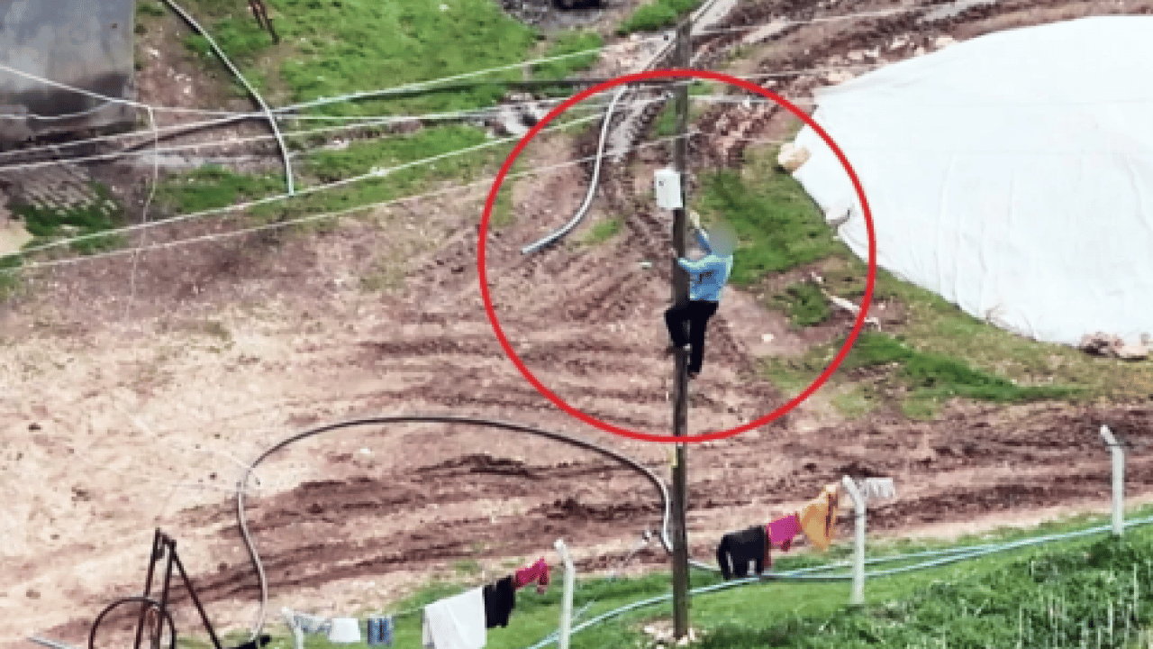 Dronu görünce ne yapacağını şaşırdı: Direğe çıkıp kaçak hattı iptal etti