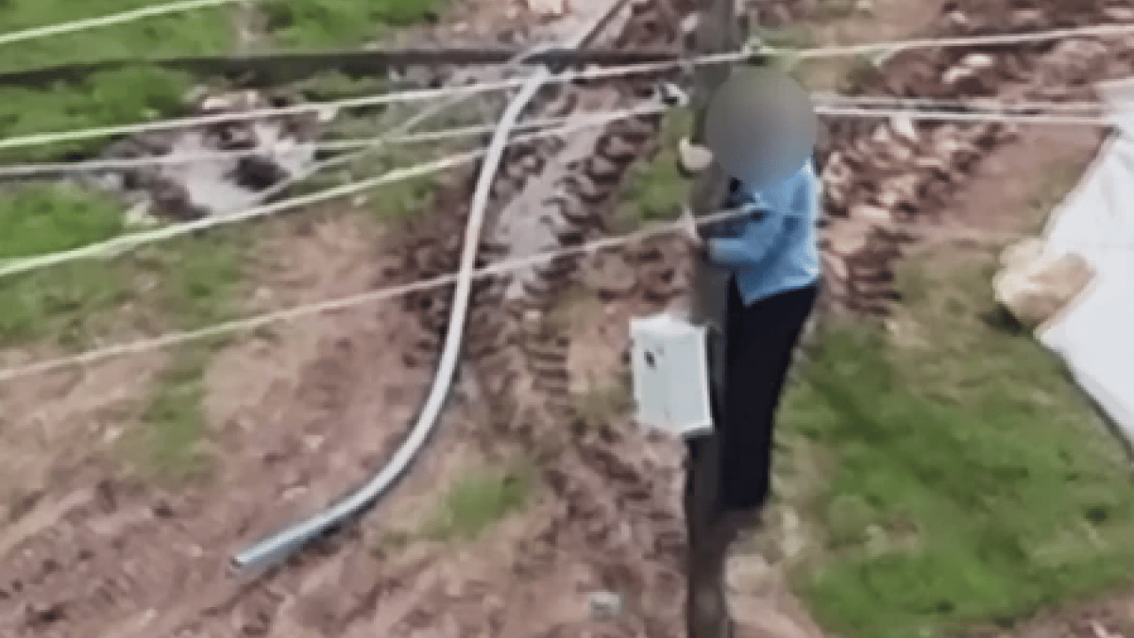 Foto - Dronu görünce ne yapacağını şaşırdı: Direğe çıkıp kaçak hattı iptal etti