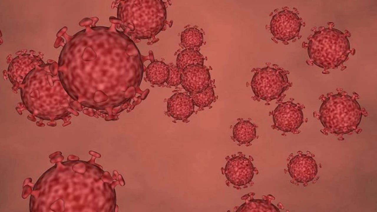 Foto - DSÖ’den kırmızı alarm! Mutasyona uğrayan virüs hızla yayılıyor