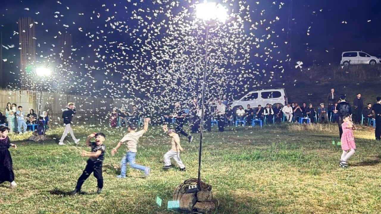 Foto - Düğün alanını istila ettiler Davetliler oturdu kelebekler halay çekti!