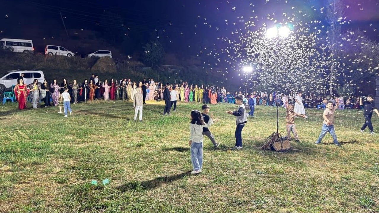 Foto - Düğün alanını istila ettiler Davetliler oturdu kelebekler halay çekti!