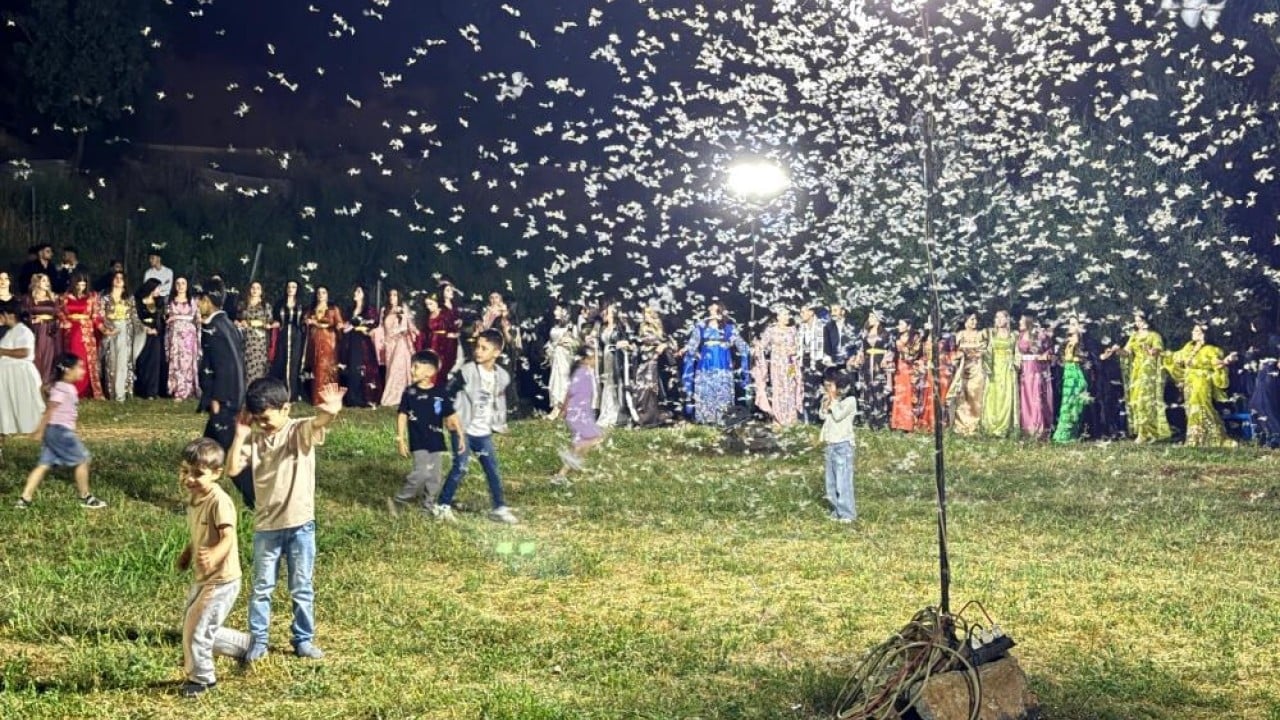 Düğün alanını istila ettiler Davetliler oturdu kelebekler halay çekti!