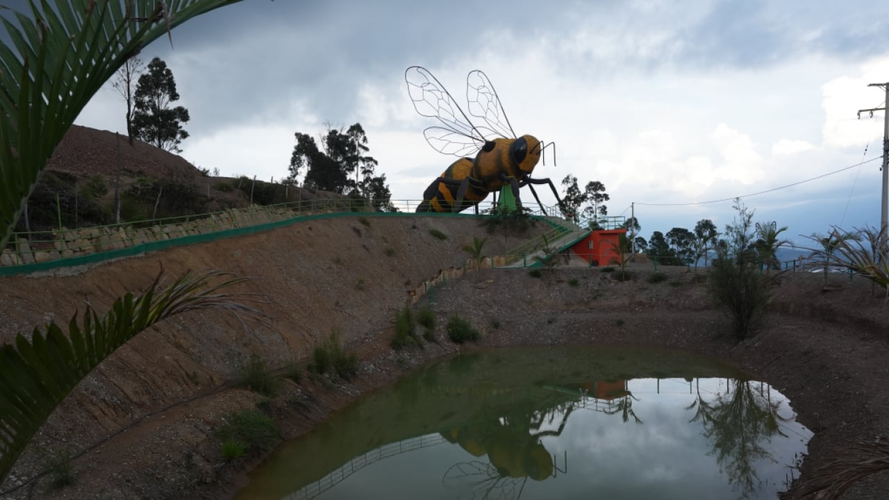 Dünya bu arıyı konuşuyor: Guinness yolunda dev bir adım