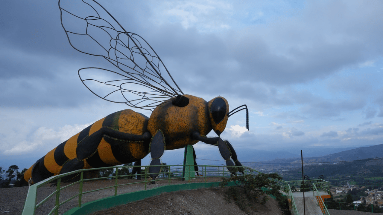 Foto - Dünya bu arıyı konuşuyor: Guinness yolunda dev bir adım