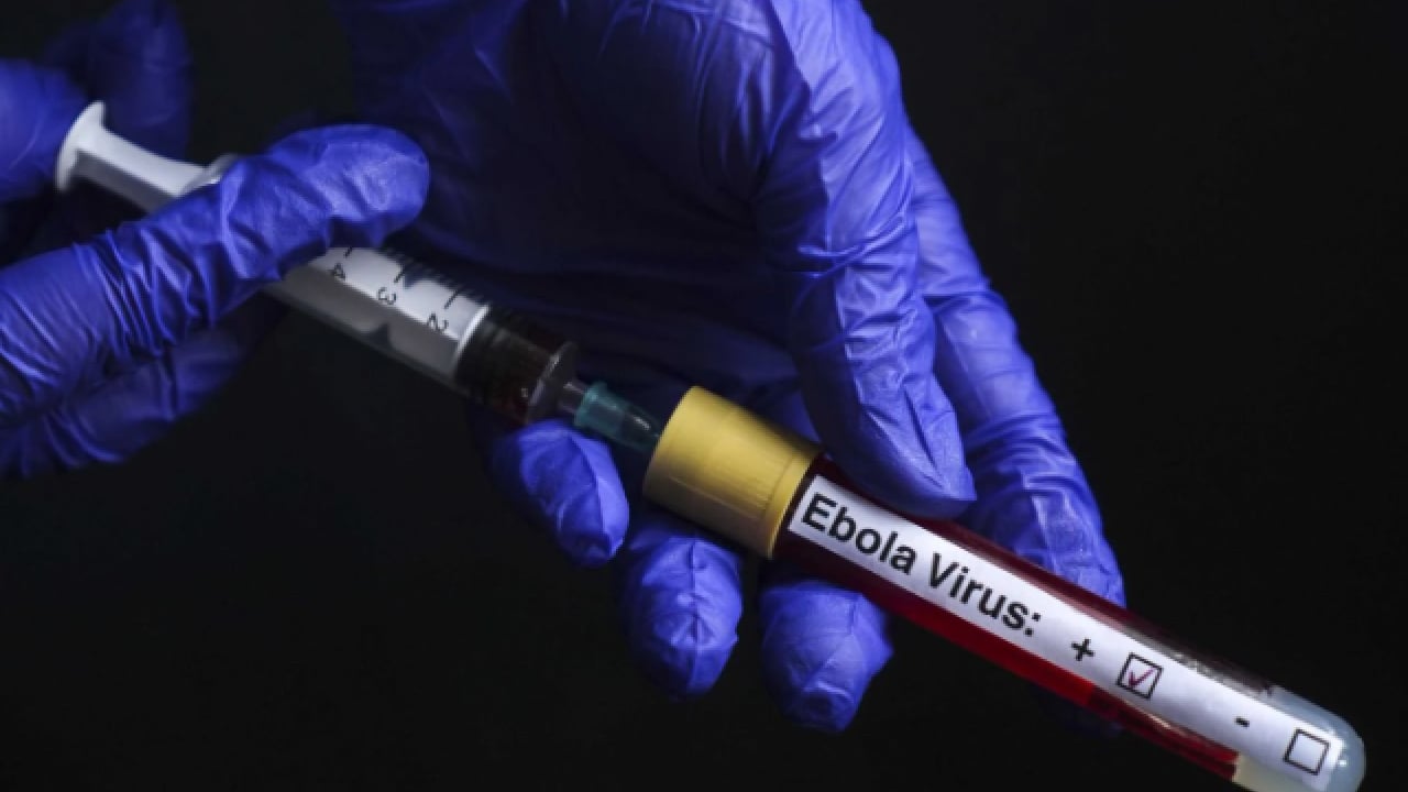 Foto - Dünya bu salgını konuşuyor: Ebola kaynaklı can kaybı yüzü aştı