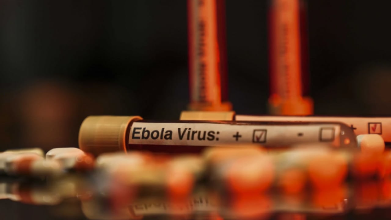 Foto - Dünya bu salgını konuşuyor: Ebola kaynaklı can kaybı yüzü aştı