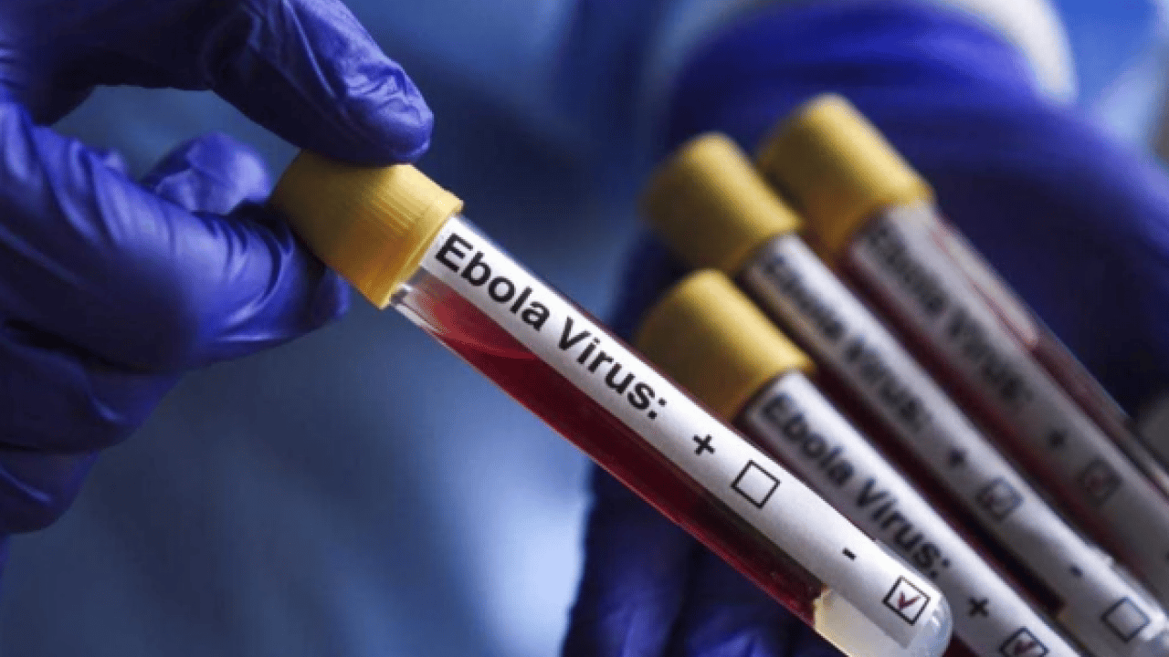 Foto - Dünya bu salgını konuşuyor: Ebola kaynaklı can kaybı yüzü aştı