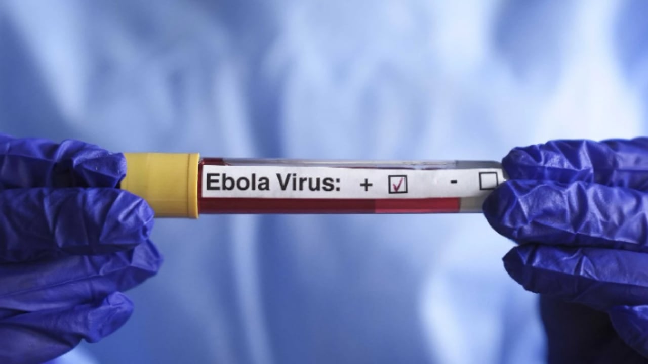 Foto - Dünya bu salgını konuşuyor: Ebola kaynaklı can kaybı yüzü aştı