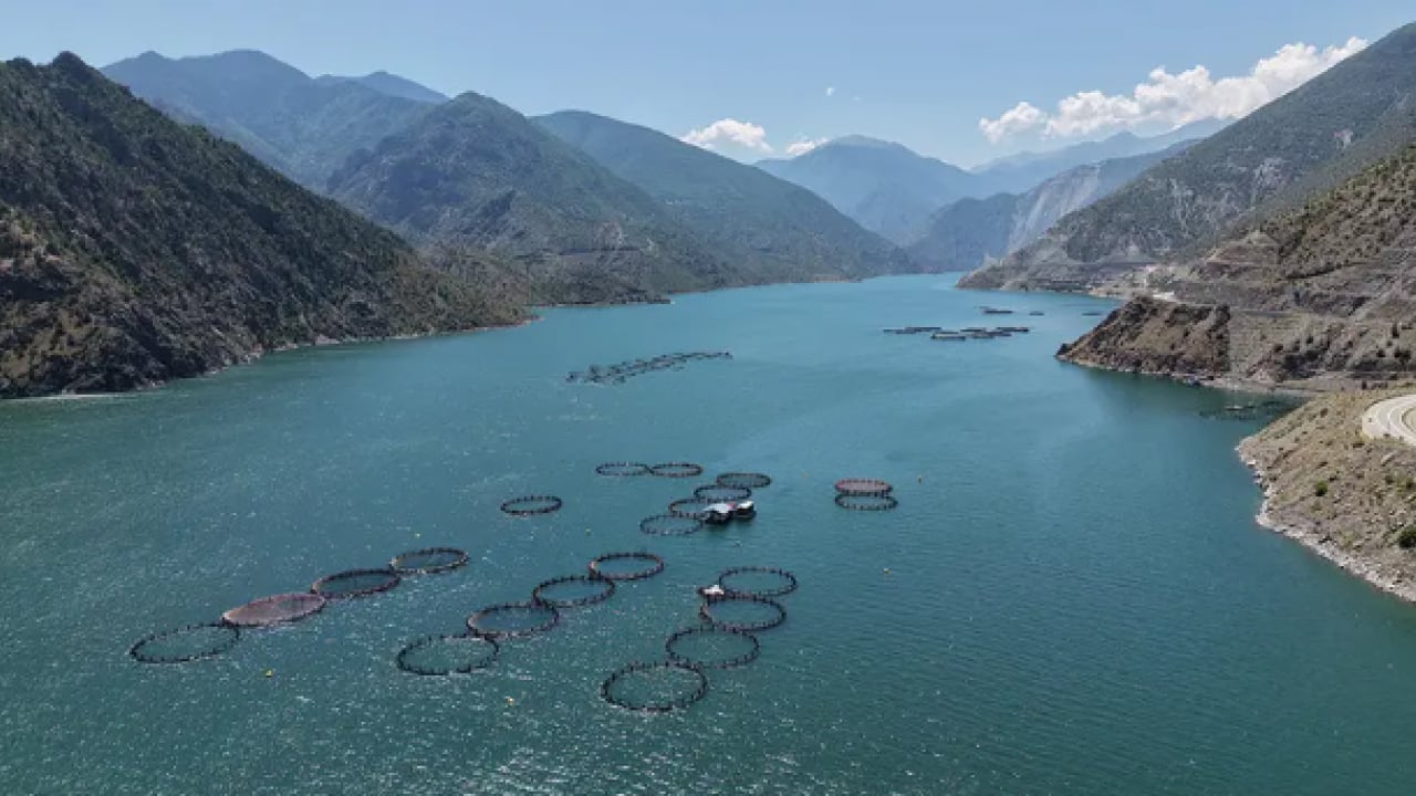 Dünya bu Türk lezzetinin peşinde! Almak içi sıraya girdiler!
