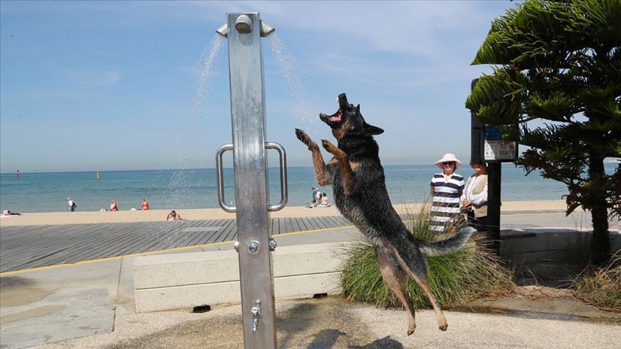 Foto - Dünya donarken Avustralya sıcaktan yanıyor