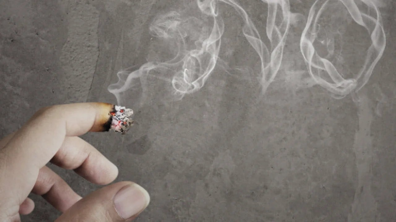 Foto - Dünya genelinde tütün kullanımında devrim niteliğinde düşüş: Kadınlar bu konuda öncülük ediyor!