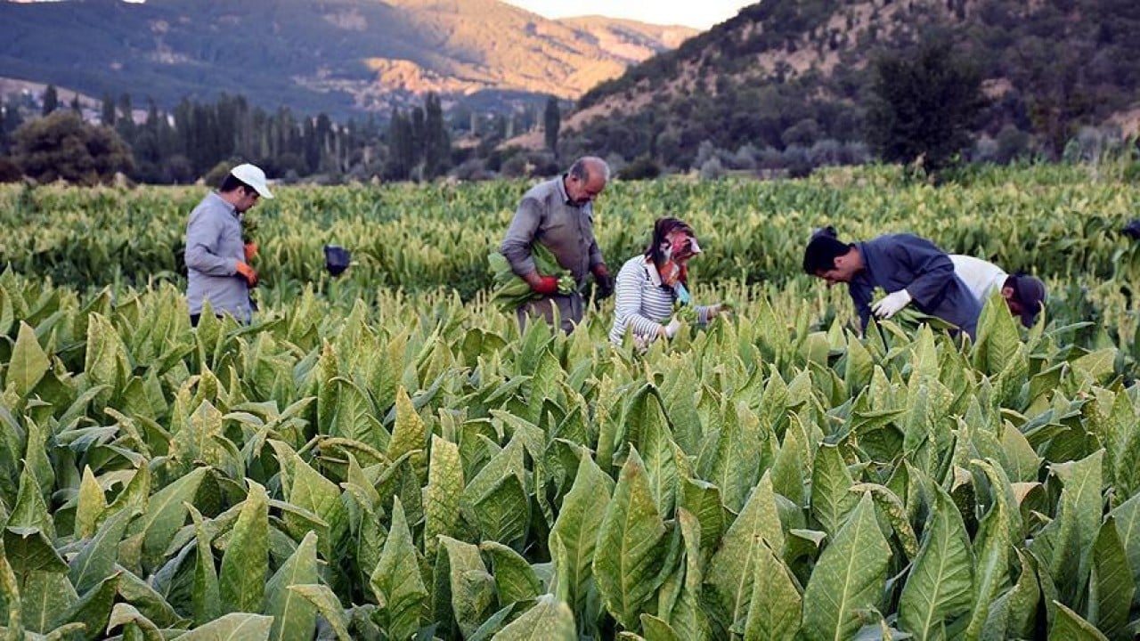 Foto - Dünya genelindeki istihdam daralması devam ediyor! İşte nedenleri 
