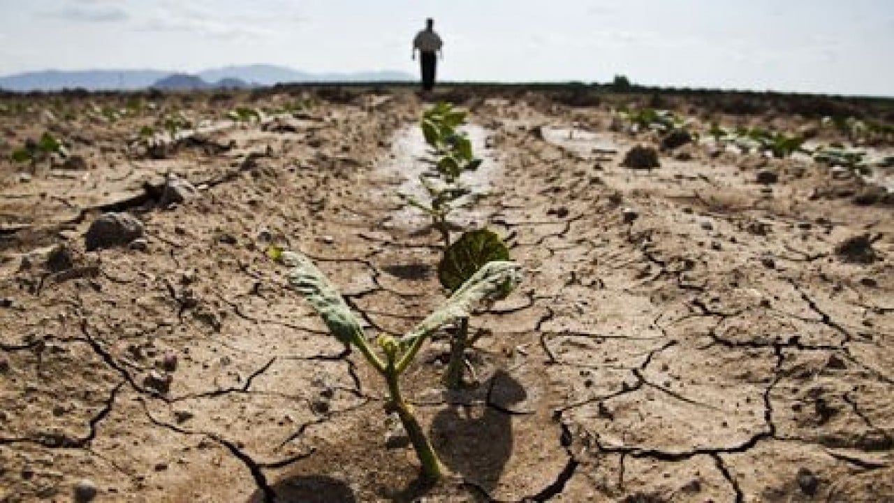 Foto - Dünya için tehlike çanları çalıyor 1 milyardan fazla insan tehdit altında