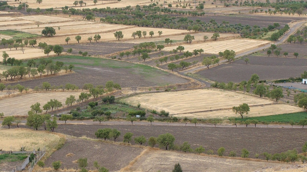Foto - Dünya için tehlike çanları çalıyor 1 milyardan fazla insan tehdit altında